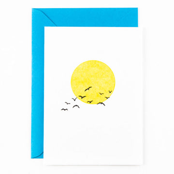 Birds flying in the sun